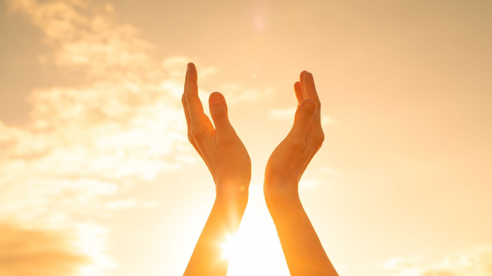 La gratitud